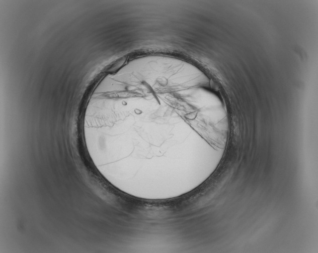 X0000113160487200910021504