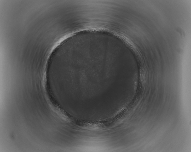 X0000113160488200910021504