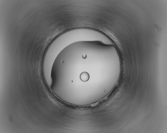 X0000113160489200910021504