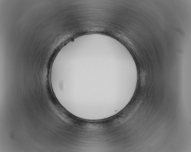 X0000113160490200910021504