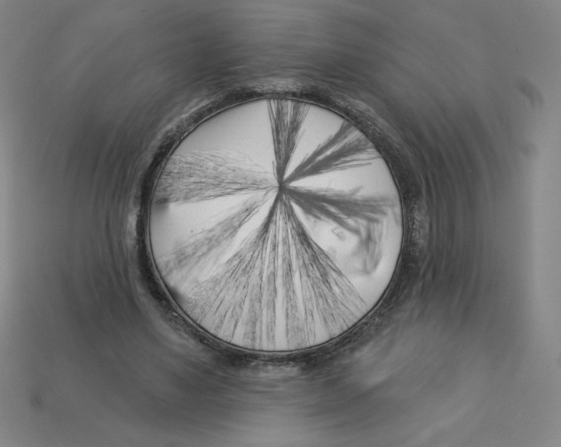 X0000113160491200910021504