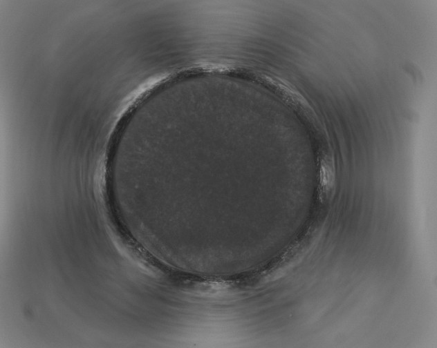 X0000113160492200910021504