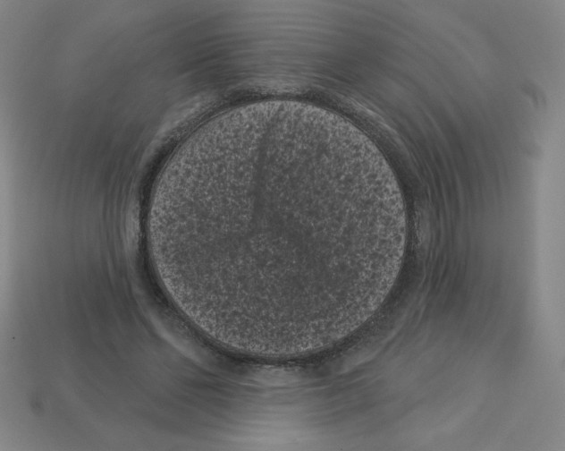 X0000113160494200910021504