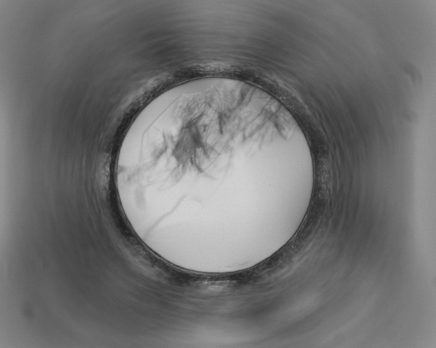 X0000113160495200910021504