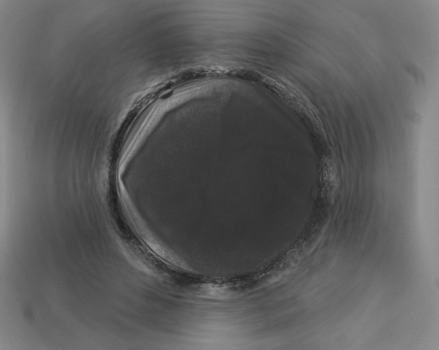 X0000113160496200910021504