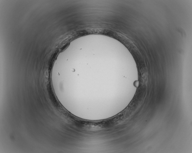 X0000113160498200910021504