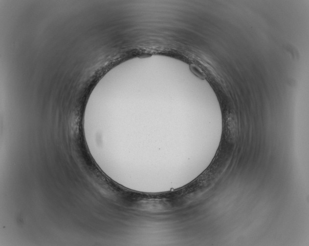 X0000113160499200910021504