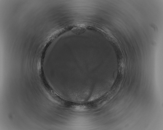 X0000113160500200910021504