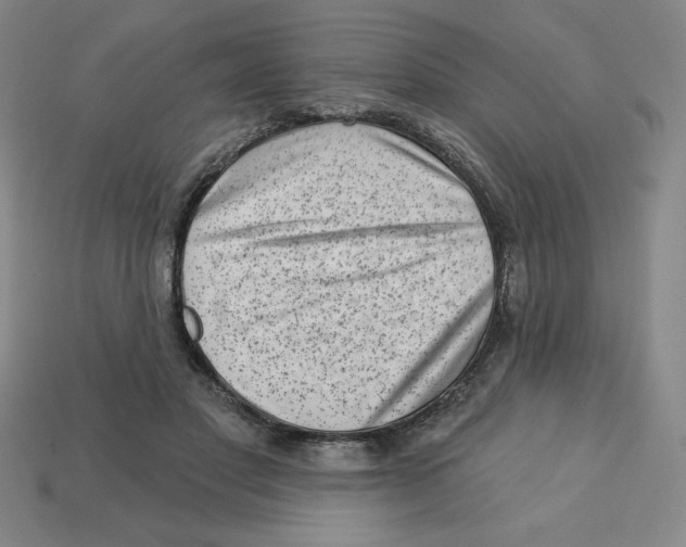 X0000113160501200910021504