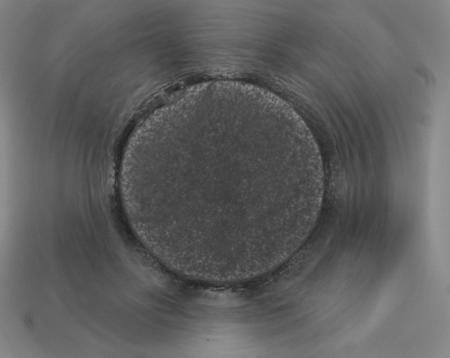 X0000113160502200910021504