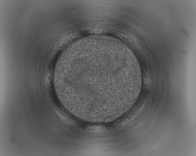 X0000113160503200910021504