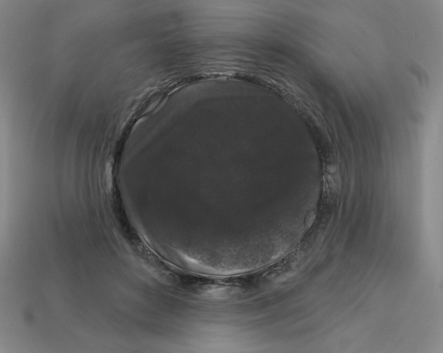 X0000113160504200910021504