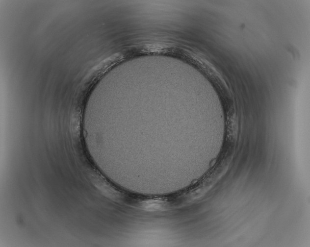 X0000113160505200910021504