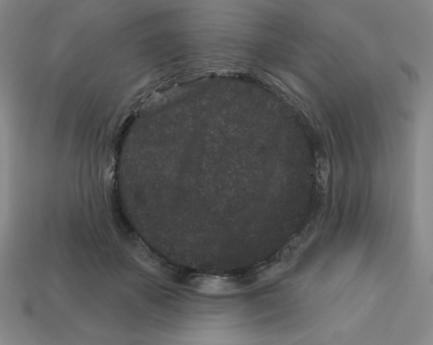 X0000113160507200910021504