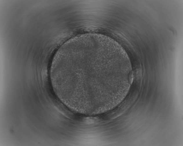 X0000113160508200910021504