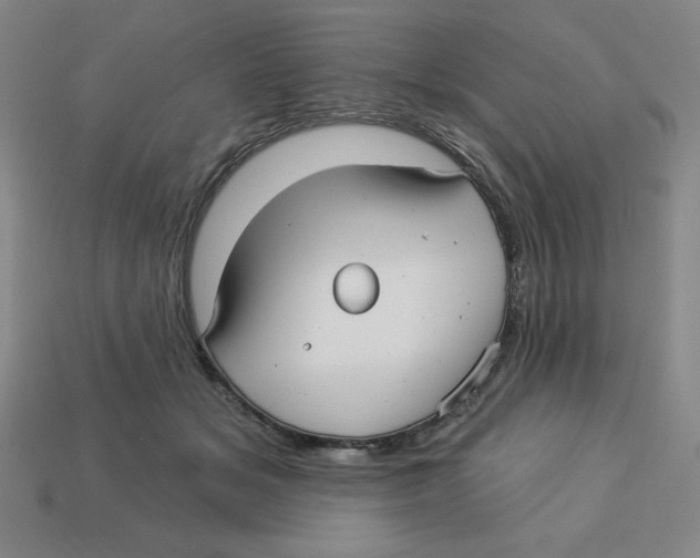 X0000113160509200910021504