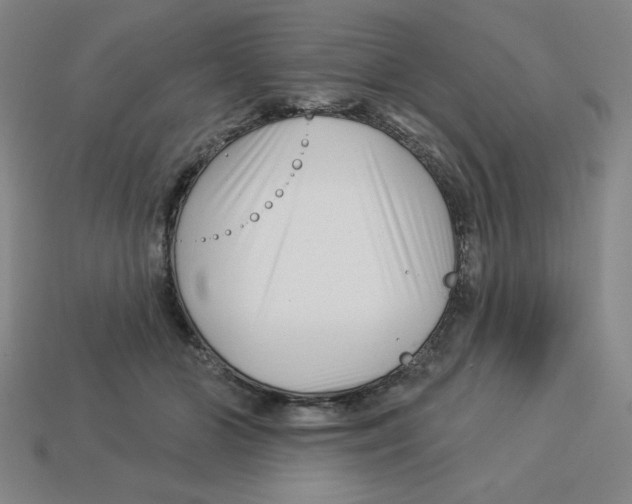 X0000113160510200910021504