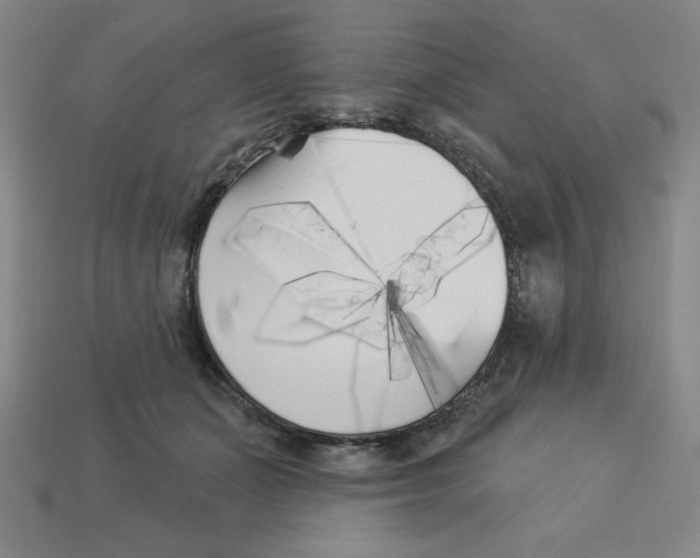 X0000113160511200910021504