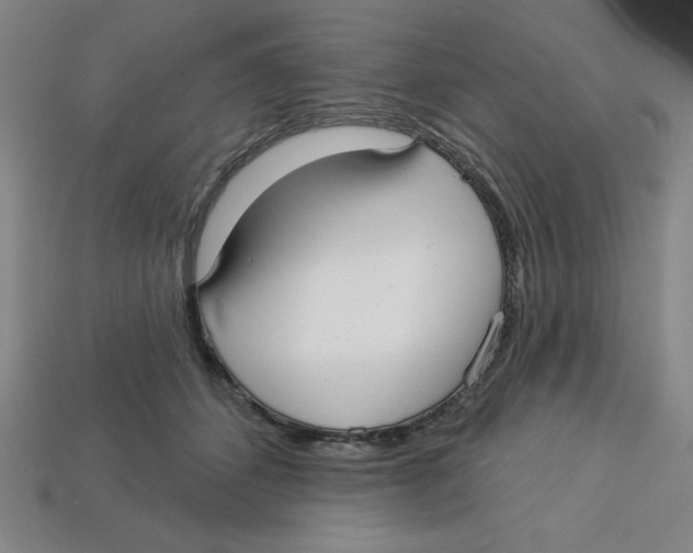 X0000113160512200910021504