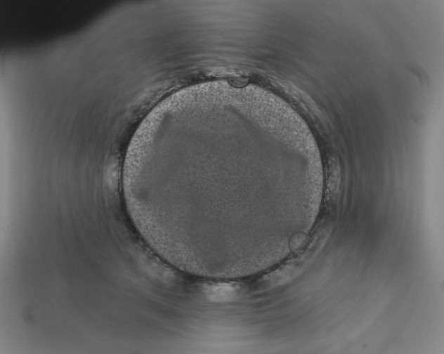 X0000113160513200910021504