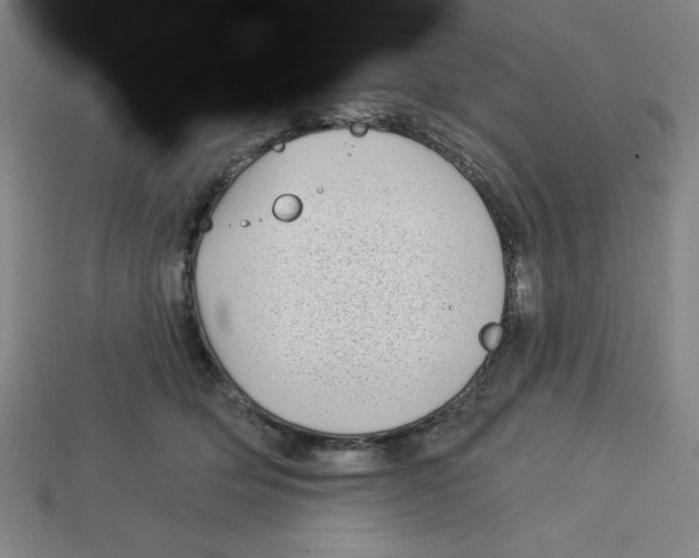 X0000113160514200910021504