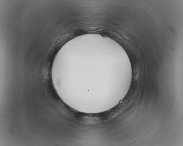 X0000113160515200910021504