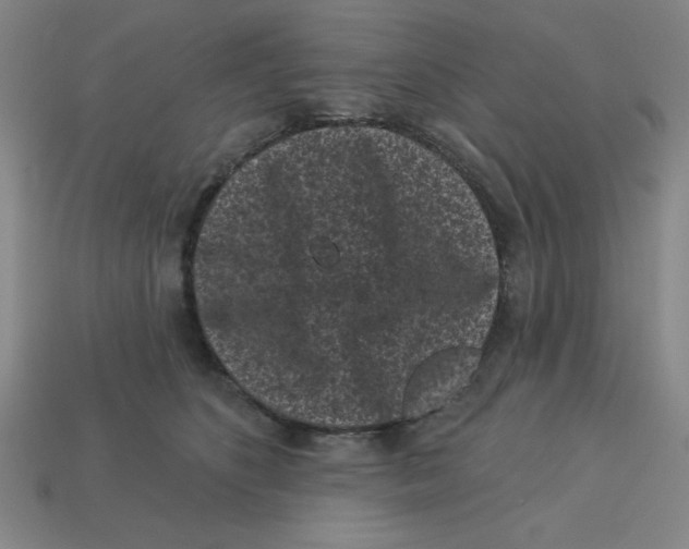 X0000113160516200910021504