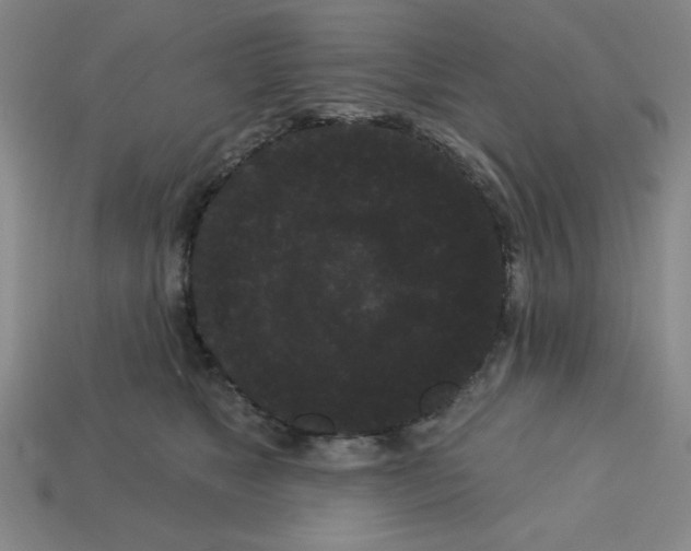 X0000113160517200910021504