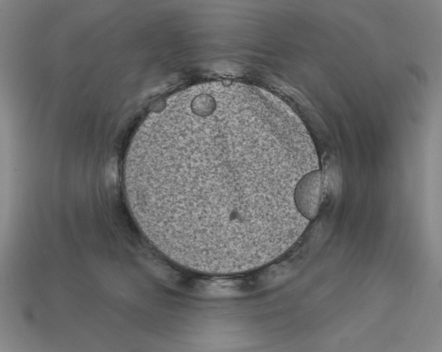 X0000113160518200910021504