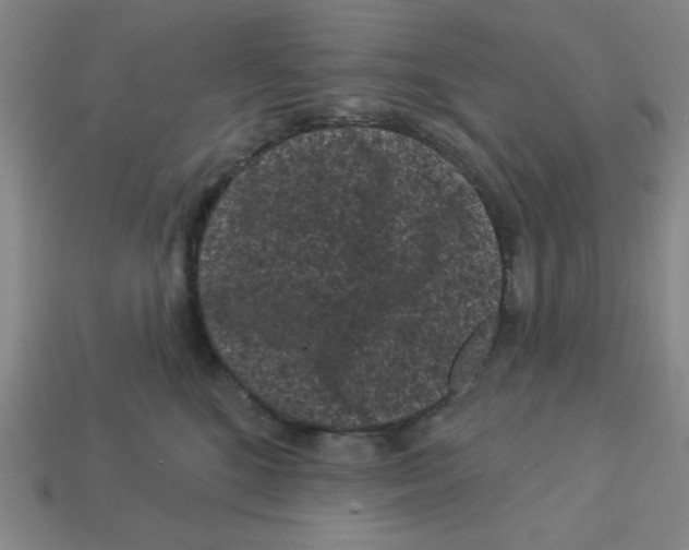 X0000113160520200910021504