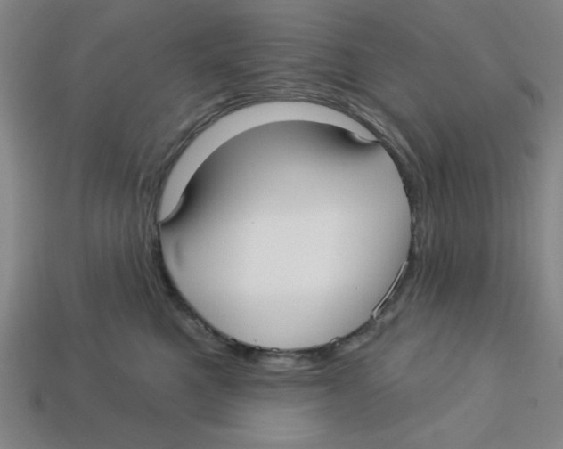 X0000113160521200910021504