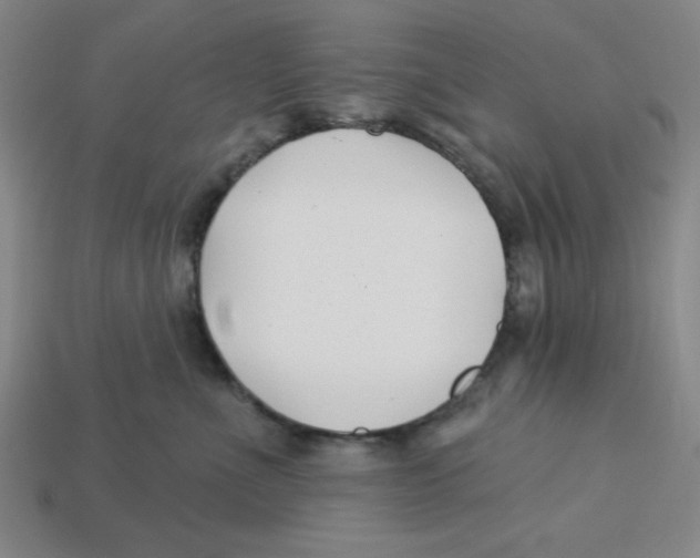 X0000113160523200910021504