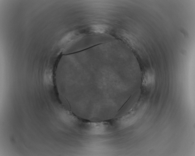 X0000113160524200910021504