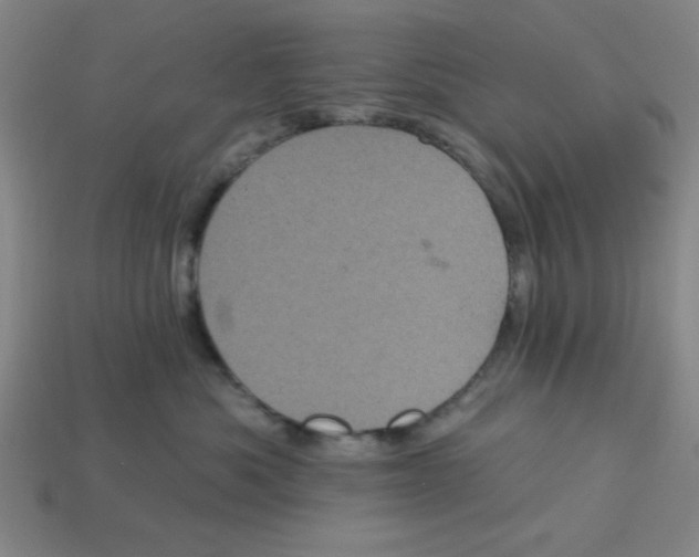 X0000113160525200910021504