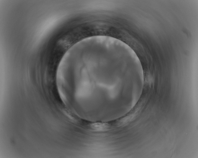 X0000113160526200910021504