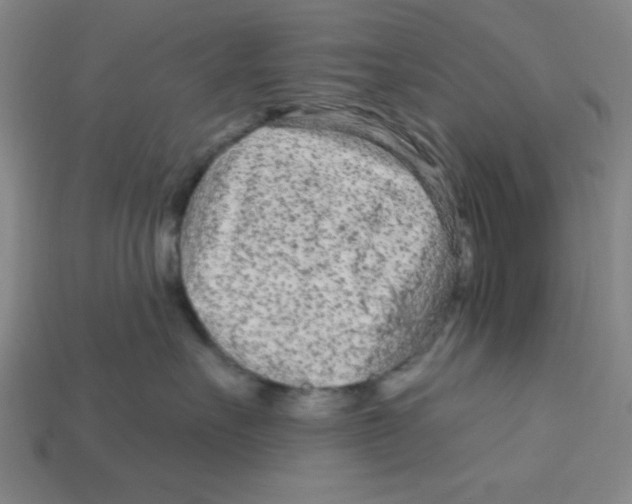 X0000113160527200910021504