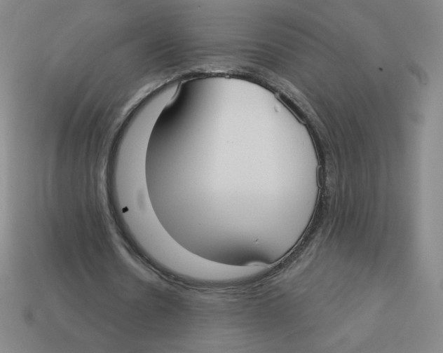 X0000113160530200910021503