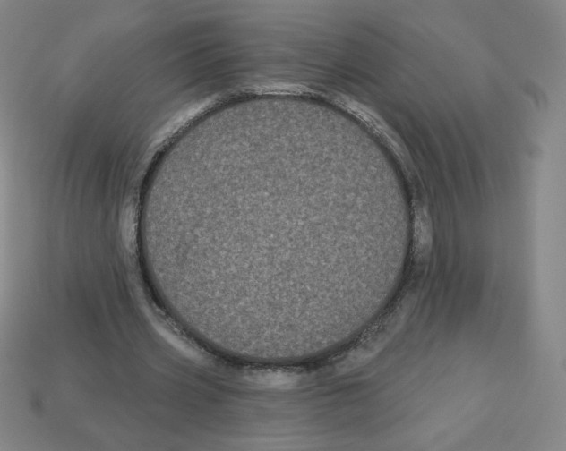 X0000113160533200910021503