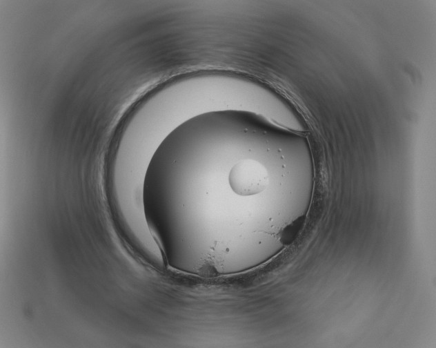 X0000113160534200910021503