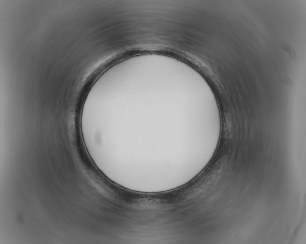 X0000113160535200910021503