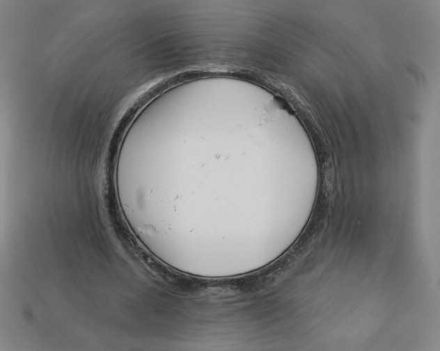 X0000113160536200910021503