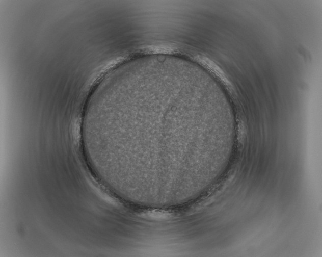 X0000113160537200910021503