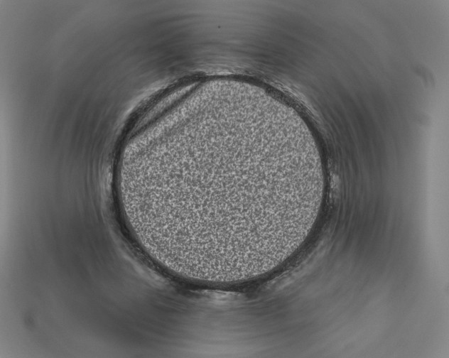 X0000113160539200910021503