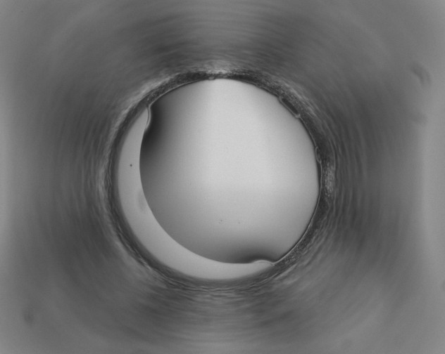 X0000113160540200910021503