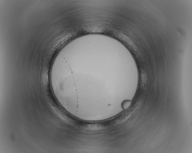 X0000113160541200910021503