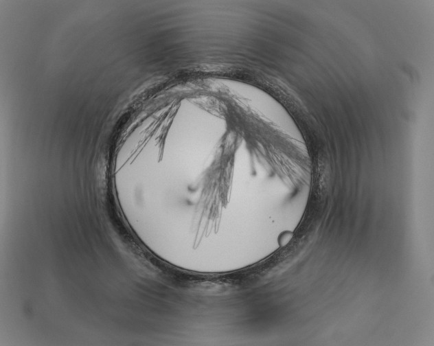 X0000113160542200910021503