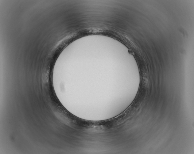 X0000113160543200910021503