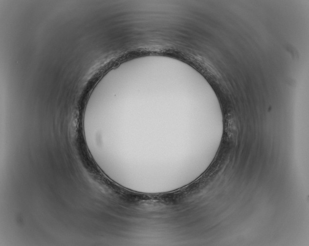 X0000113160544200910021503