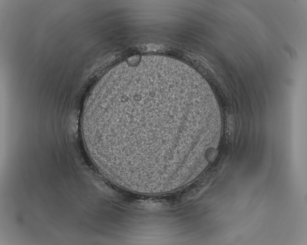 X0000113160545200910021503