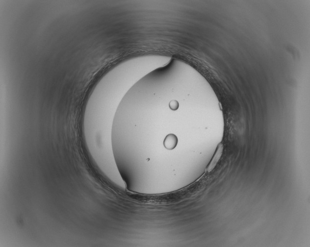 X0000113160546200910021503